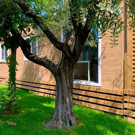 Della Colombaia Campsite Padenghe sul Garda